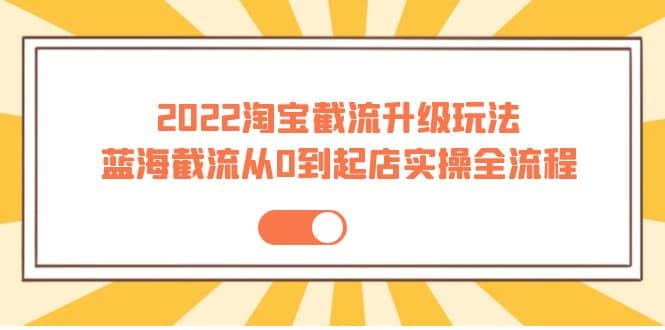 2022淘宝截流升级玩法：蓝海截流从0到起店实操全流程 价值千元-文言网创