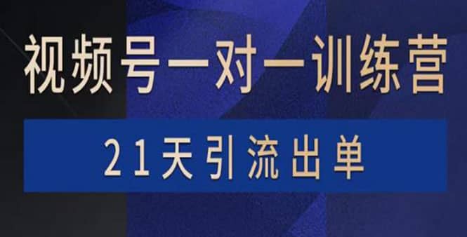 视频号训练营：带货，涨粉，直播，游戏，四大变现新方向，21天引流出单-文言网创