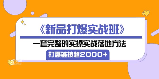 《新品打爆实战班》一套完整的实操实战落地方法，打爆链接超2000 （38节课)-文言网创