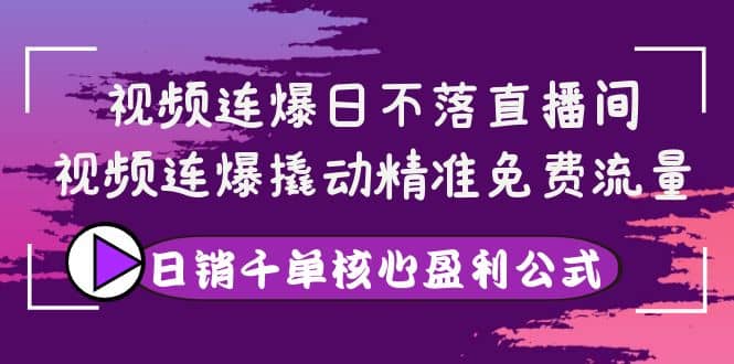 视频连爆日不落直播间，视频连爆撬动精准免费流量，日销千单核心盈利公式-文言网创