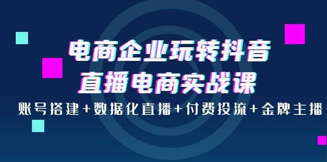 电商企业玩转抖音直播电商实战课：账号搭建 数据化直播 付费投流 金牌主播-文言网创