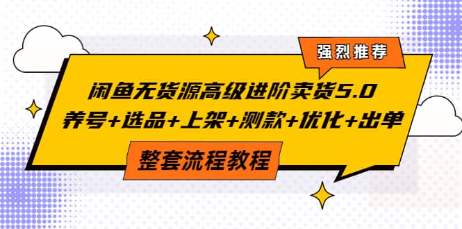 闲鱼无货源高级进阶卖货5.0，养号 选品 上架 测款 优化 出单整套流程教程-文言网创