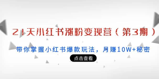 21天小红书涨粉变现营（第3期）：带你掌握小红书爆款玩法，月赚10W 秘密-文言网创