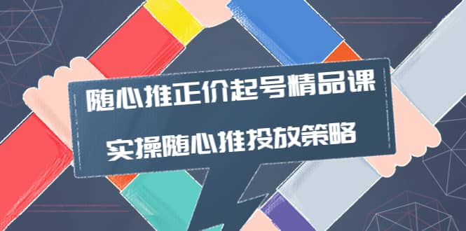 随心推正价起号精品课，实操随心推投放策略（5节课-价值298）-文言网创