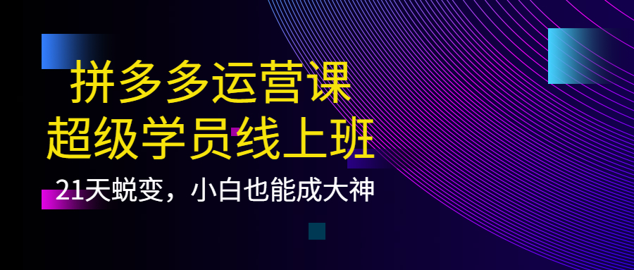 拼多多运营课：超级学员线上班，21天蜕变，小白也能成大神-文言网创