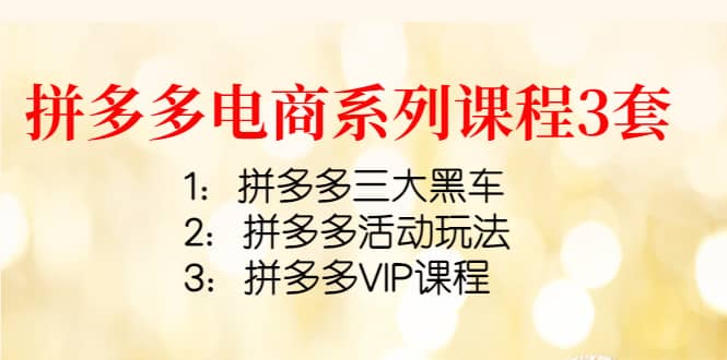 拼多多电商系列课程3套：拼多多三大黑车 拼多多活动玩法 拼多多VIP课程-文言网创