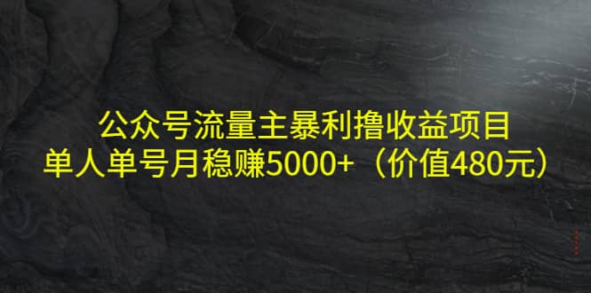 公众号流量主暴利撸收益项目，单人单号月稳赚5000 （价值480元）-文言网创