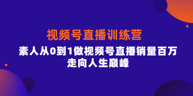 视频号直播训练营，素人从0到1做视频号直播销量百万，走向人生巅峰-文言网创