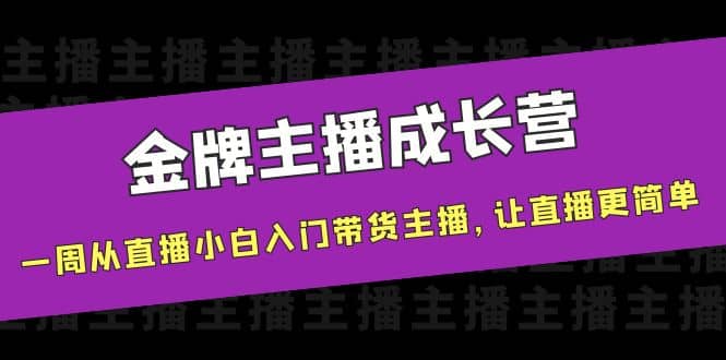 金牌主播成长营，一周从直播小白入门带货主播，让直播更简单-文言网创