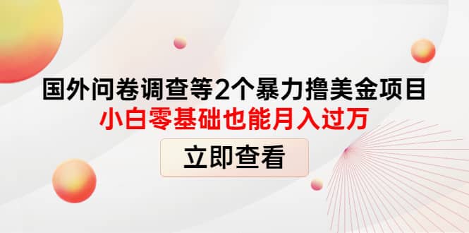 国外问卷调查等2个暴力撸美元项目，小白零基础也能月入过万-文言网创