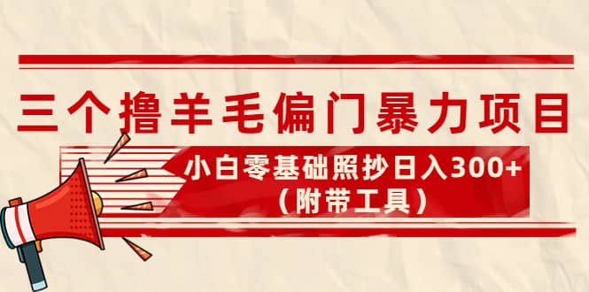 外面卖998的三个撸羊毛项目，小白零基础照抄（附带工具）-文言网创