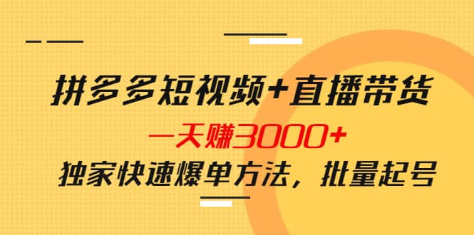 拼多多短视频 直播带货，一天赚3000 独家快速爆单方法，批量起号-文言网创