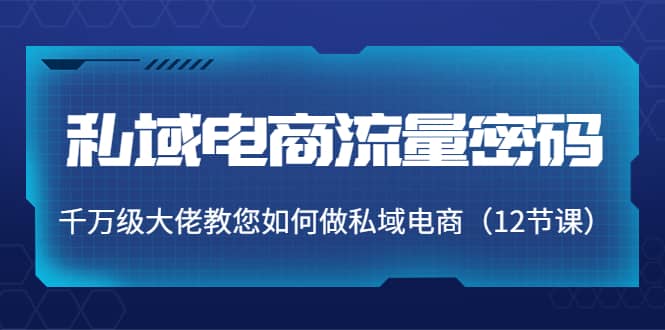 私域电商流量密码：千万级大佬教您如何做私域电商（12节课）-文言网创