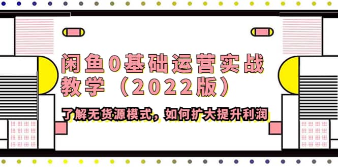 闲鱼0基础运营实战教学（2022版）了解无货源模式，如何扩大提升利润-文言网创