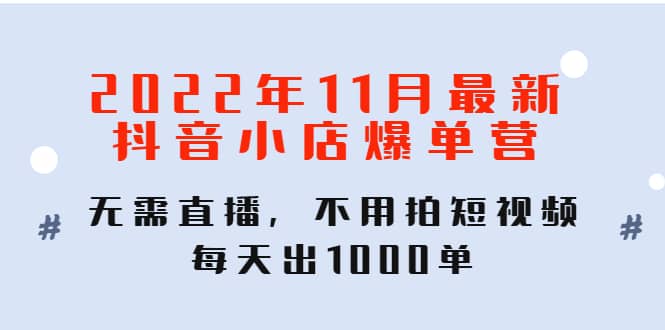 2022年11月最新抖音小店爆单训练营：无需直播，不用拍短视频，每天出1000单-文言网创