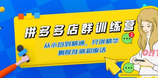 拼多多店群训练营：从小白到精通，只讲精华，剔除推销和废话-文言网创