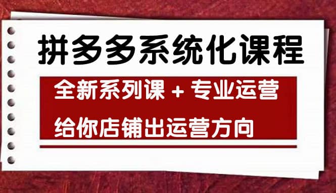 车神陪跑，拼多多系统化课程，全新系列课 专业运营给你店铺出运营方向-文言网创