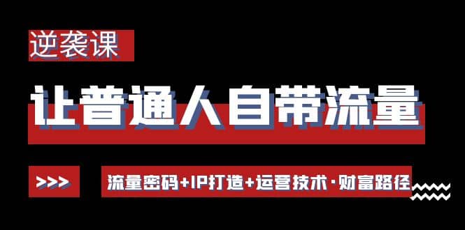 让普通人自带流量的逆袭课：流量密码 IP打造 运营技术·财富路径-文言网创