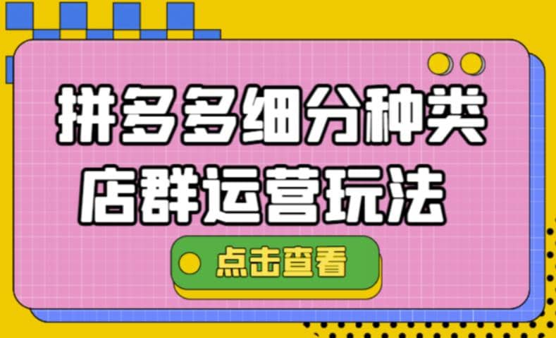 拼多多细分种类店群运营玩法3.0，11月最新玩法，小白也可以操作-文言网创