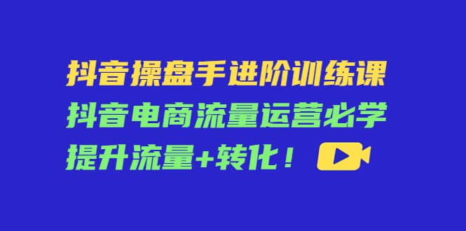 抖音操盘手进阶训练课：抖音电商流量运营必学，提升流量 转化-文言网创