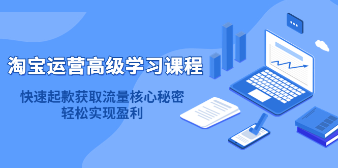 淘宝运营高级学习课程：快速获取流量核心秘密，轻松实现盈利！-文言网创