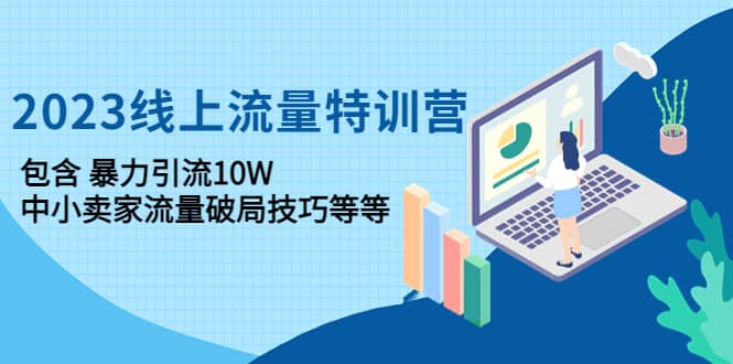 2023线上流量特训营：中小卖家流量破局技巧等等-文言网创