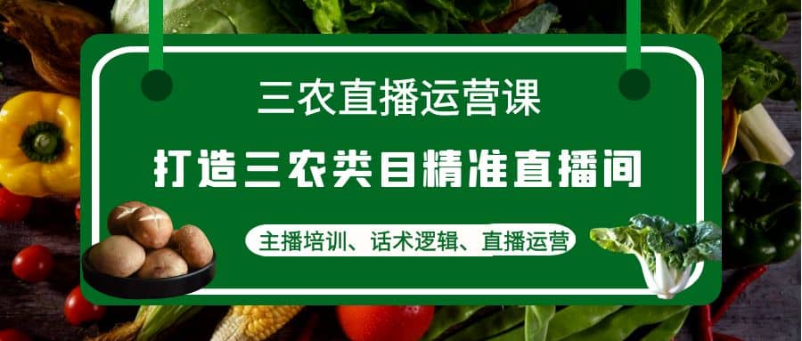 三农直播运营课：打造三农类目精准直播间，主播培训、话术逻辑、直播运营-文言网创