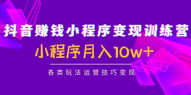 抖音小程序变现训练营：小程序各类玩法运营技巧变现-文言网创