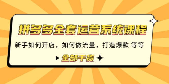 拼多多全套运营系统课程：新手如何开店 如何做流量 打造爆款 等等 全部干货-文言网创