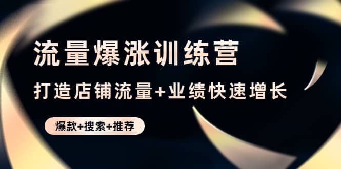 流量爆涨训练营：打造店铺流量 业绩快速增长 (爆款 搜索 推荐)-文言网创