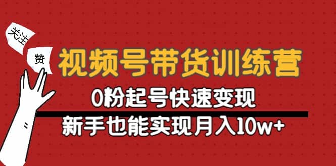 视频号带货训练营：0粉起号快速变现-文言网创