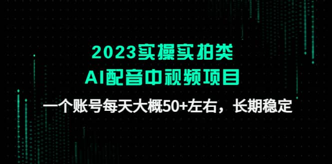 2023实操实拍类AI配音中视频项目，一个账号每天大概50 左右，长期稳定-文言网创