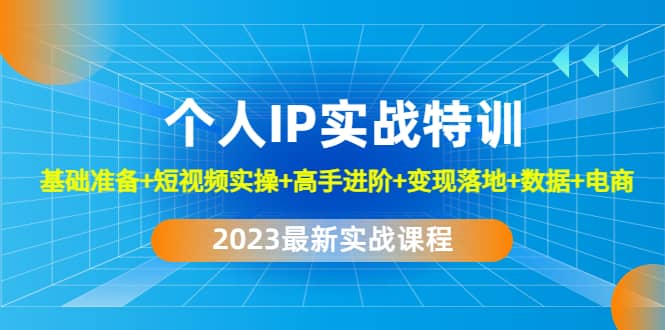 2023个人IP实战特训：基础准备 短视频实操 高手进阶 变现落地 数据 电商-文言网创