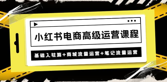 小红书电商高级运营课程：基础入驻篇 商城流量运营 笔记流量运营-文言网创