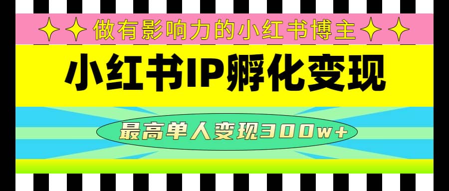 某收费培训-小红书IP孵化变现：做有影响力的小红书博主-文言网创