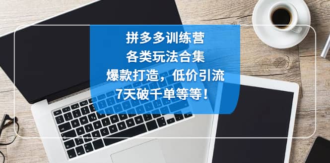 拼多多训练营：各玩法合集，爆款打造，低价引流，7天破千单等等-文言网创