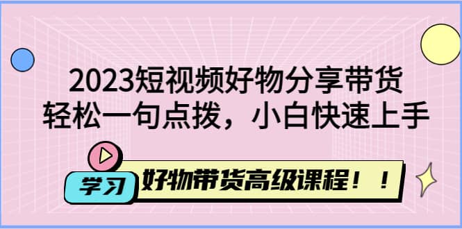 2023短视频好物分享带货，好物带货高级课程，轻松一句点拨，小白快速上手-文言网创