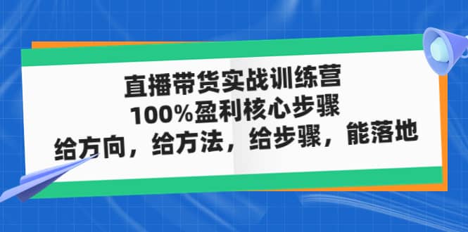 直播带货实战训练营：100%盈利核心步骤，给方向，给方法，给步骤，能落地-文言网创