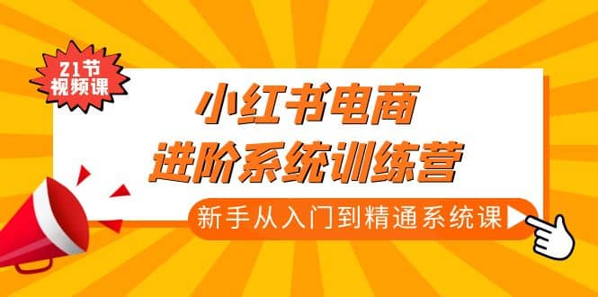 小红书电商进阶系统训练营：新手从入门到精通系统课（21节视频课）-文言网创