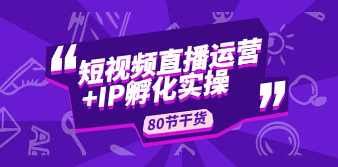 短视频直播运营 IP孵化实战：80节干货实操分享-文言网创