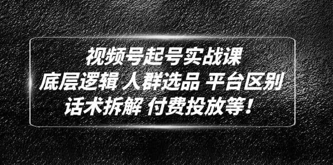 视频号起号实战课：底层逻辑 人群选品 平台区别 话术拆解 付费投放等-文言网创