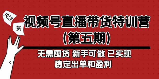 视频号直播带货特训营（第五期）无需囤货 新手可做 已实现稳定出单和盈利-文言网创