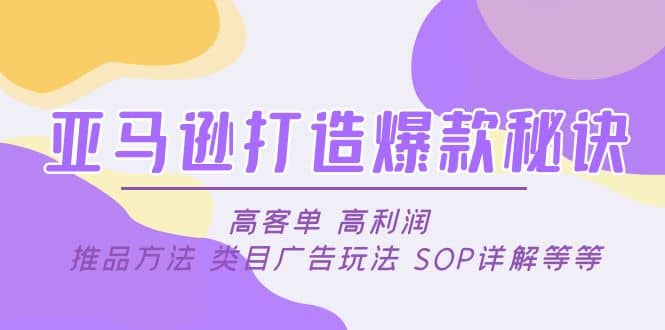 亚马逊打造爆款秘诀：高客单 高利润 推品方法 类目广告玩法 SOP详解等等-文言网创