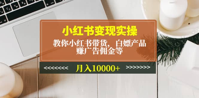 小红书变现实操：教你小红书带货，白嫖产品，赚广告佣金等-文言网创