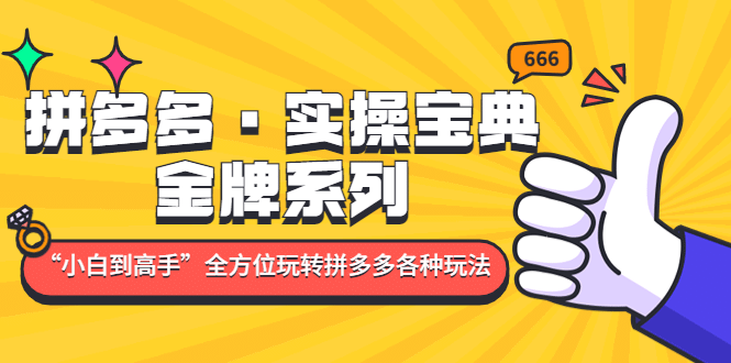 拼多多·实操宝典：金牌系列“小白到高手”带你全方位玩转拼多多各种玩法-文言网创