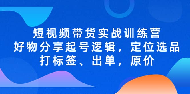 短视频带货实战训练营，好物分享起号逻辑，定位选品打标签、出单，原价-文言网创