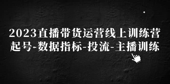 2023直播带货运营线上训练营，起号-数据指标-投流-主播训练-文言网创