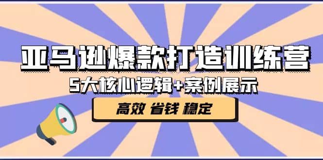 亚马逊爆款打造训练营：5大核心逻辑 案例展示 打造爆款链接 高效 省钱 稳定-文言网创