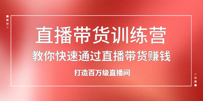 直播带货训练营，教你快速通过直播带货赚钱，打造百万级直播间-文言网创