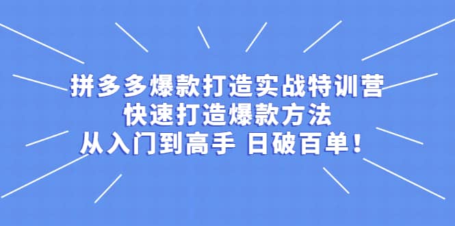 拼多多爆款打造实战特训营：快速打造爆款方法，从入门到高手 日破百单-文言网创